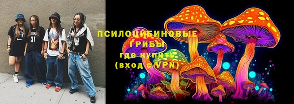 трава Зеленокумск