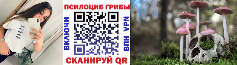 Псилоцибиновые грибы Cubensis  Купить где  Вольск 